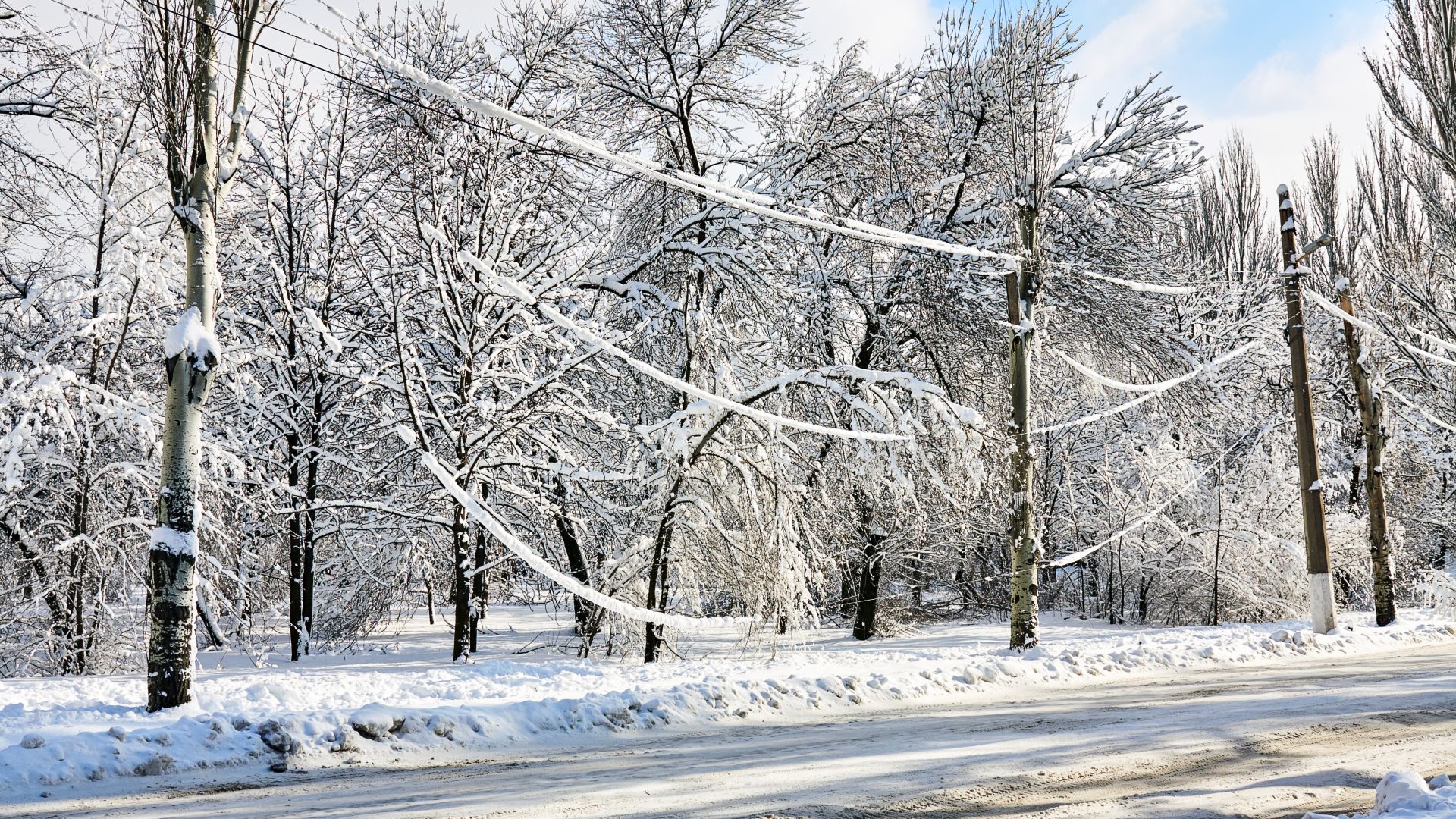 Renewables Perform Well During Winter Storm Fern, Despite Heavy Ice on Powerlines in the South