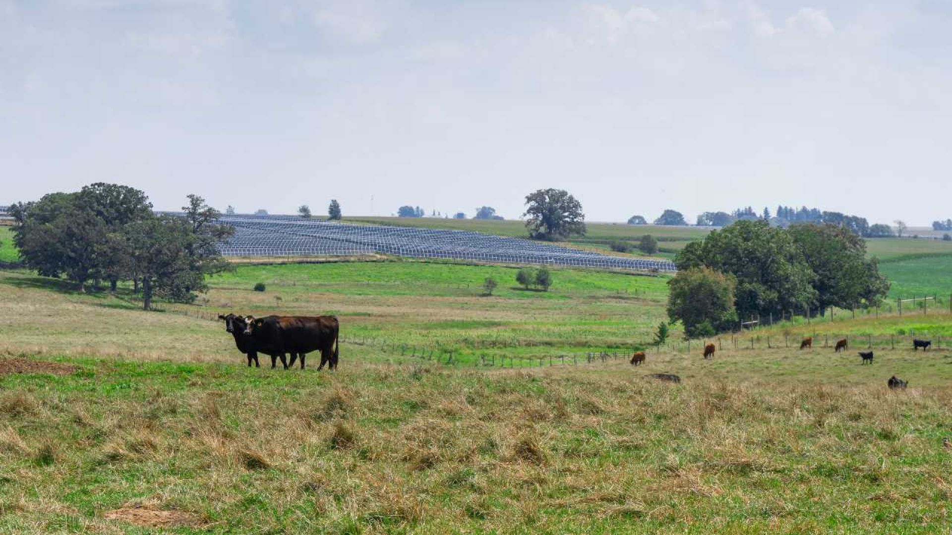 The South in Focus at Climate Week - Reliability, Affordability and Building Projects on Community Terms